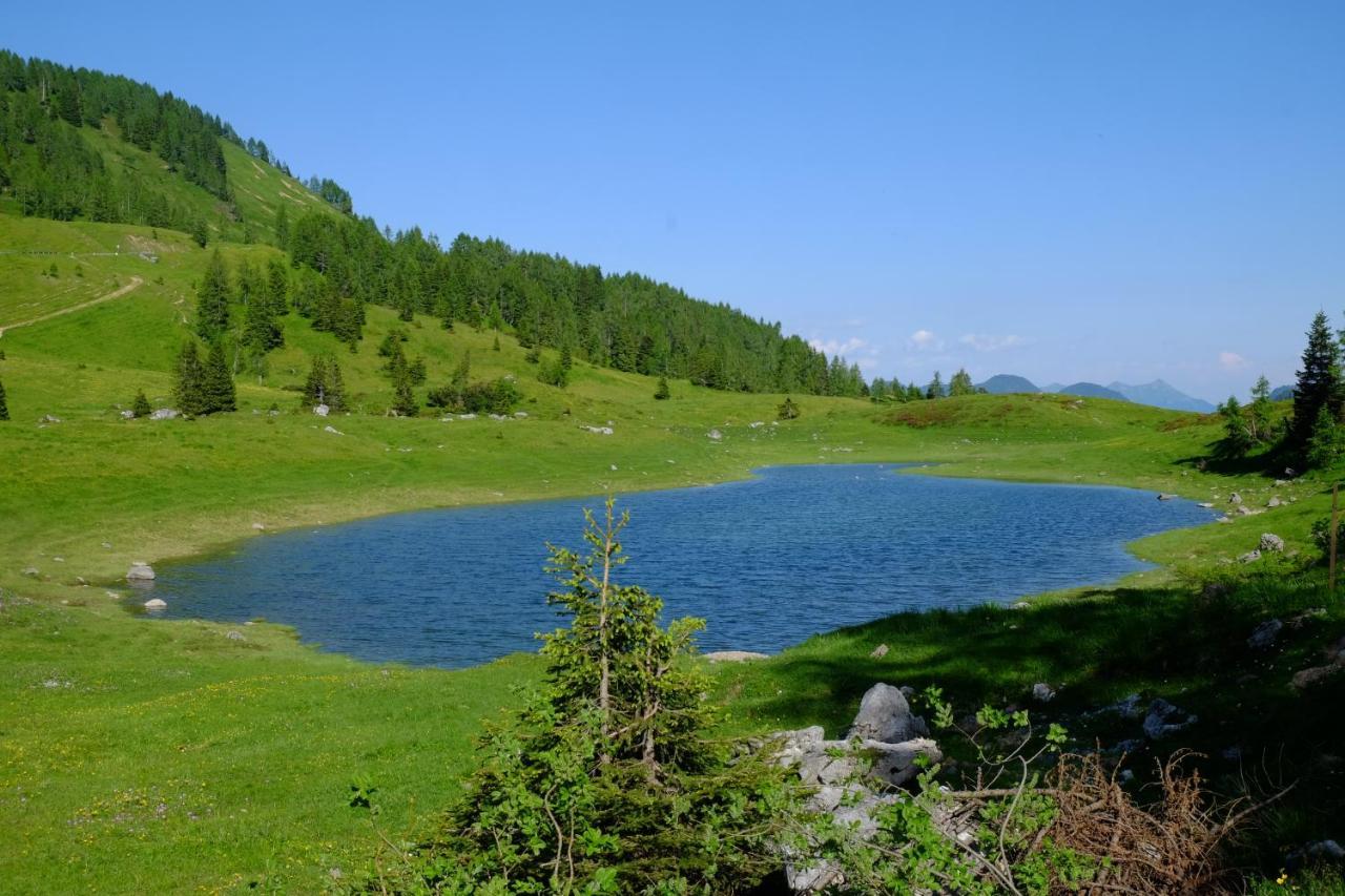 Casa Della Rosa Dolomites Experience Otel Vigo di Cadore Dış mekan fotoğraf